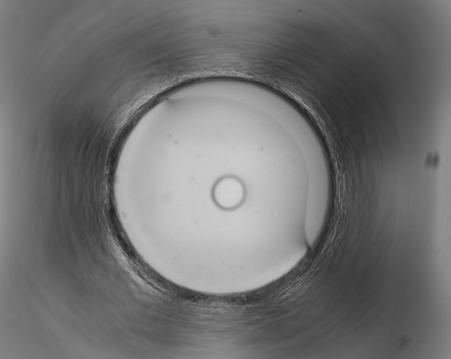 X0000114700677200912021108