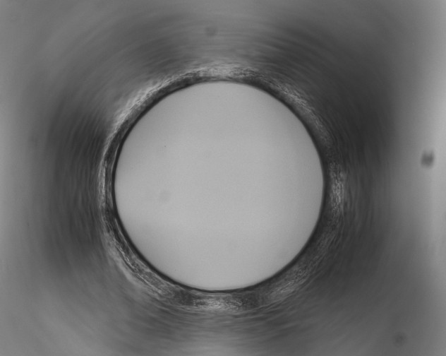 X0000114700678200912021108