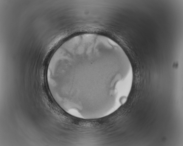 X0000114700679200912021108