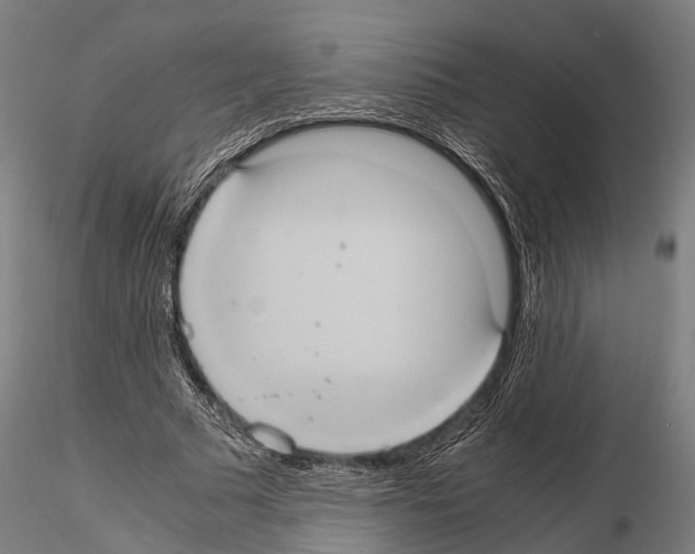 X0000114700681200912021108