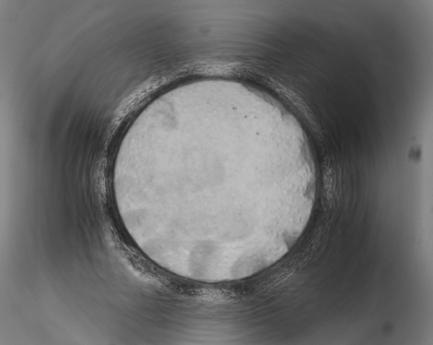 X0000114700682200912021108