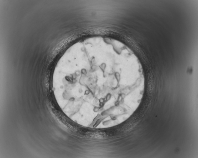 X0000114700683200912021108