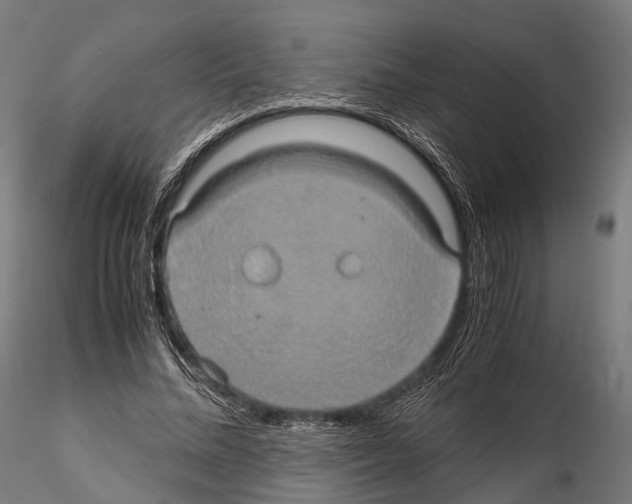 X0000114700684200912021108