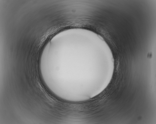 X0000114700685200912021108