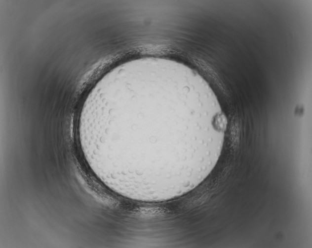 X0000114700686200912021108