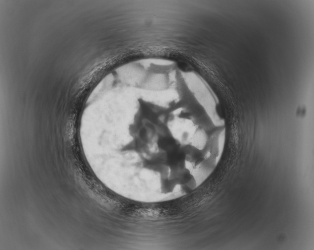 X0000114700687200912021108