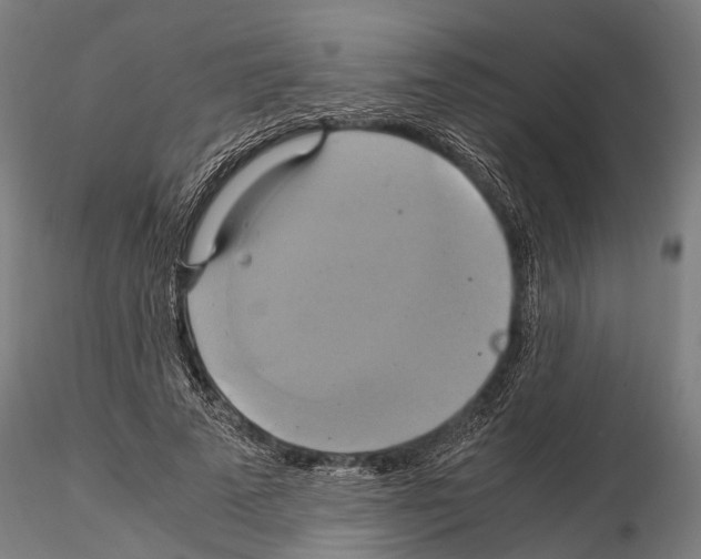 X0000114700689200912021108