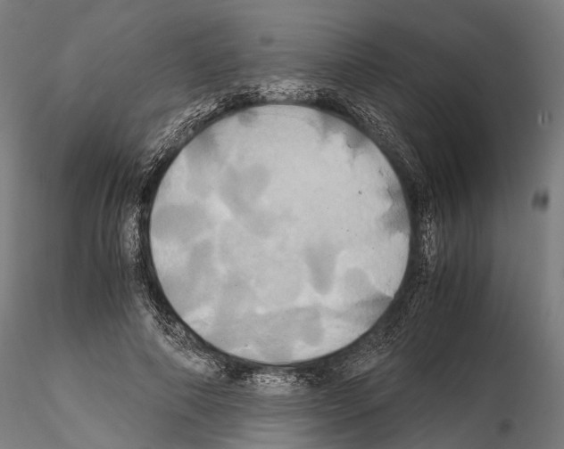 X0000114700690200912021108