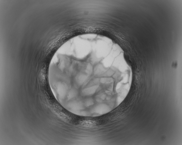 X0000114700691200912021108