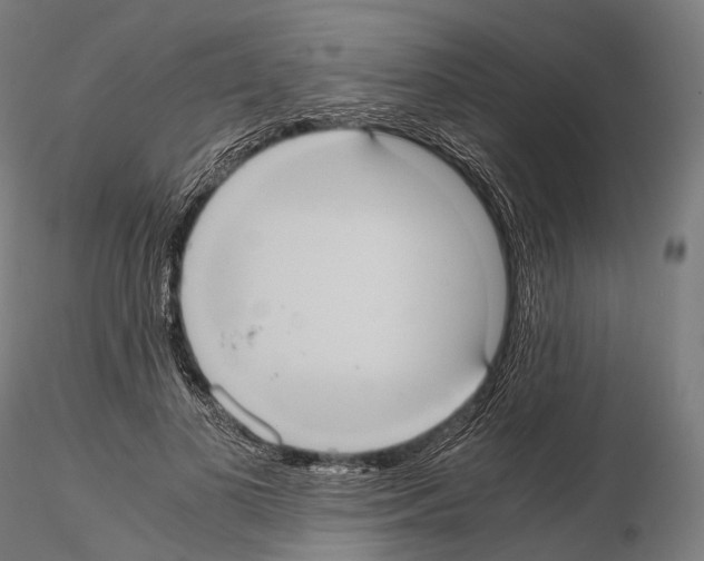 X0000114700693200912021108