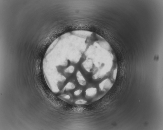 X0000114700695200912021108