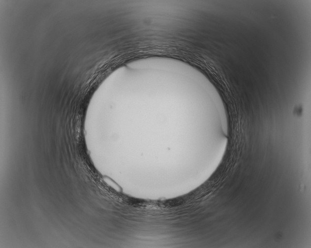 X0000114700697200912021108