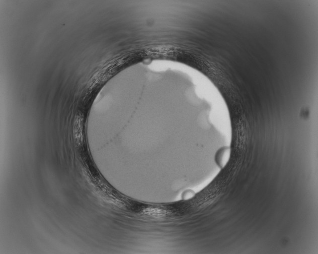 X0000114700699200912021108