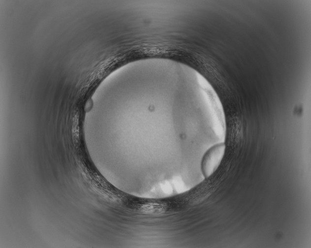 X0000114700700200912021108