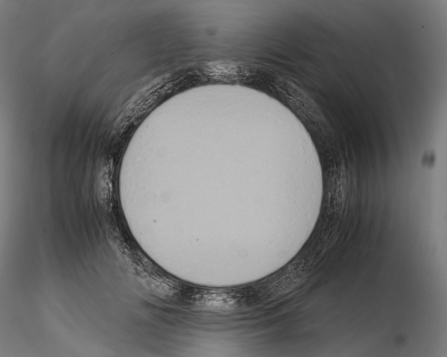 X0000114700702200912021108