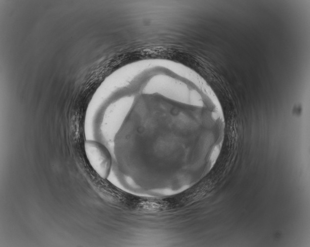 X0000114700703200912021108