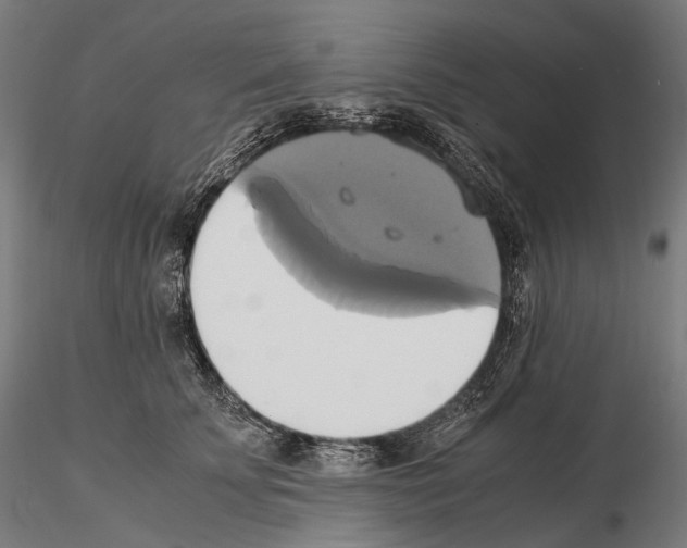 X0000114700707200912021108