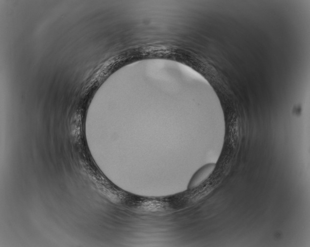 X0000114700708200912021108