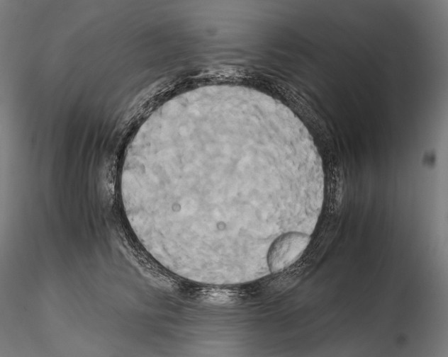 X0000114700710200912021108