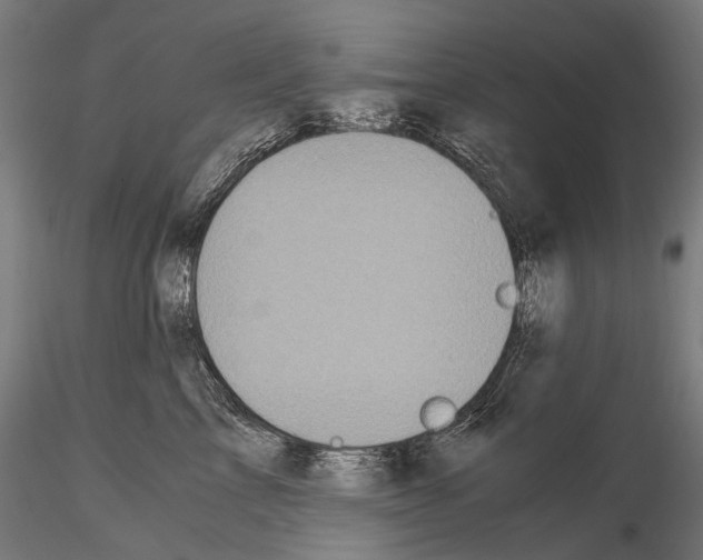 X0000114700713200912021108