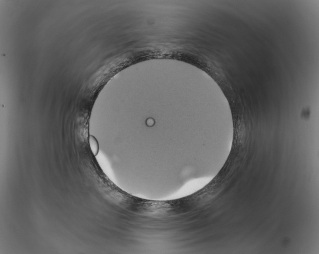 X0000114700719200912021108