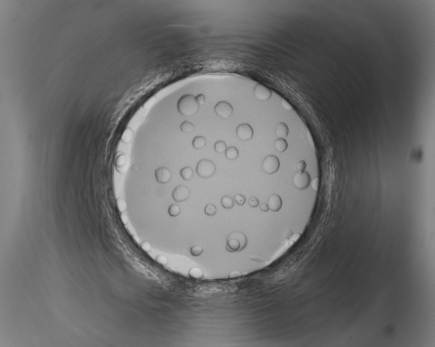 X0000114700721200912021107