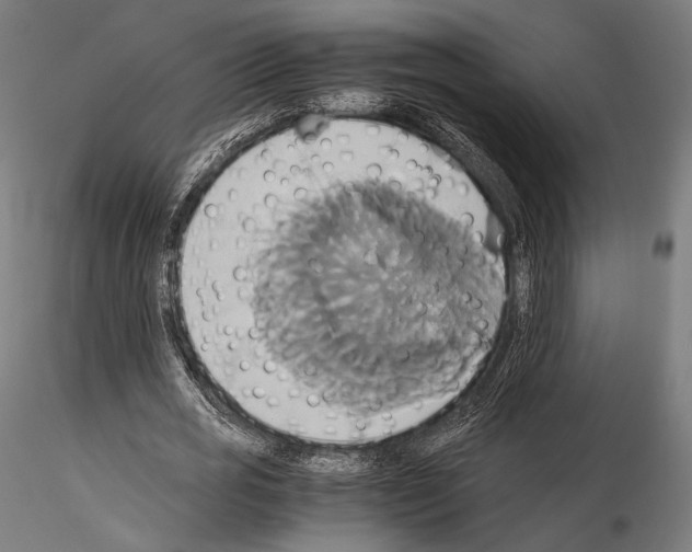 X0000114700725200912021107