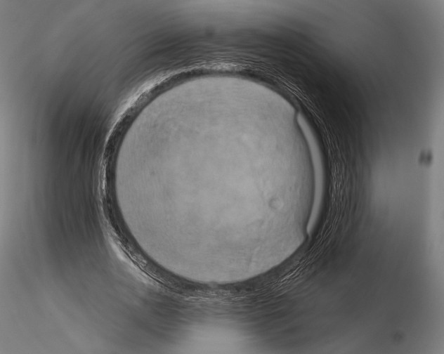 X0000114700726200912021107