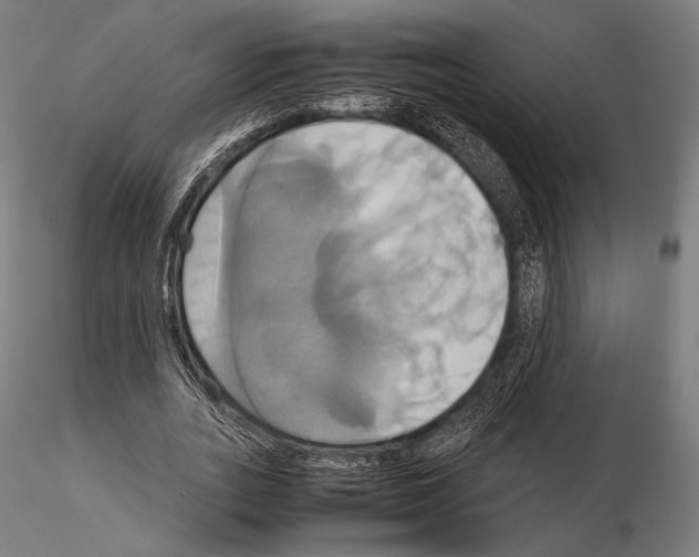 X0000114700727200912021107