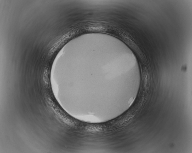 X0000114700729200912021107