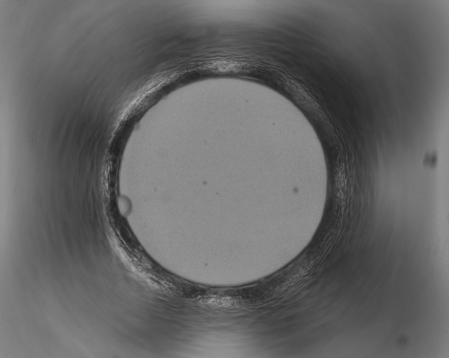 X0000114700730200912021107