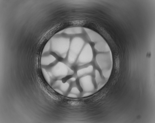 X0000114700733200912021107