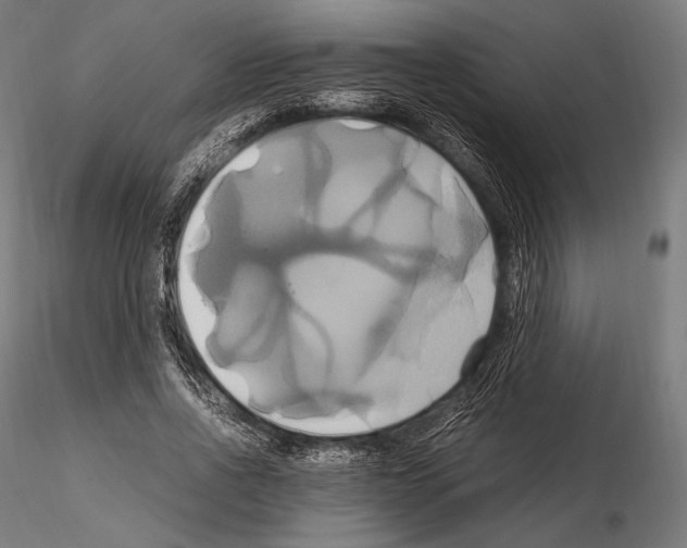 X0000114700734200912021107