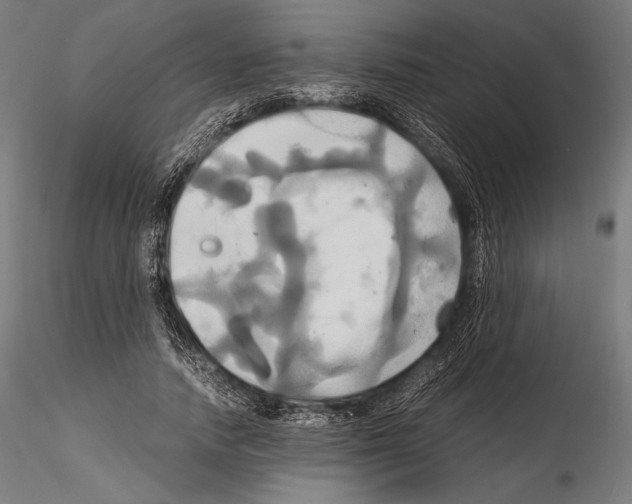 X0000114700738200912021107