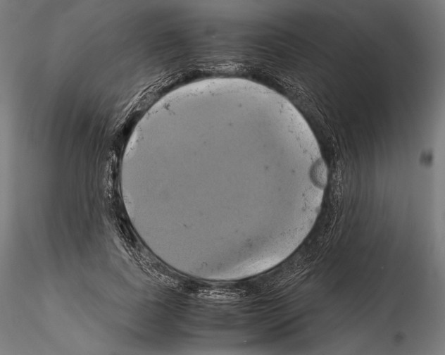 X0000114700739200912021107