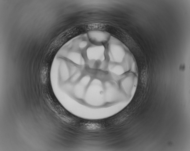 X0000114700741200912021107