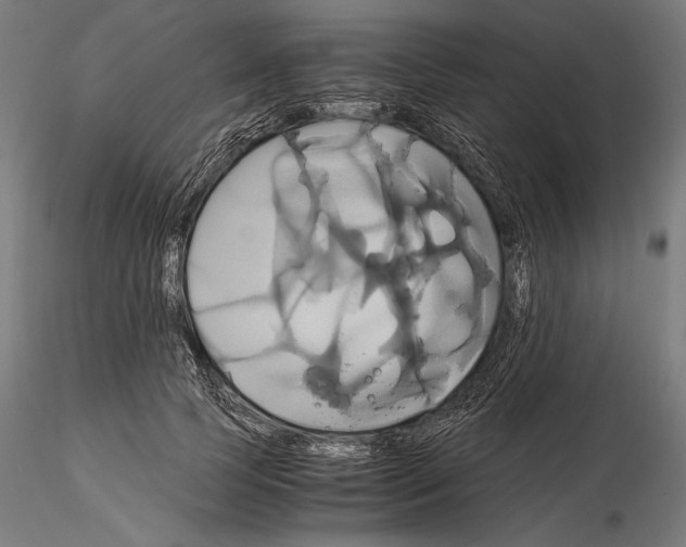 X0000114700745200912021108