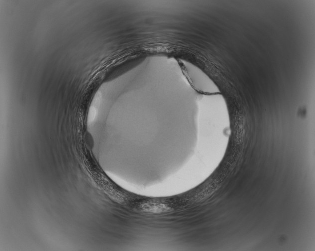 X0000114700747200912021108