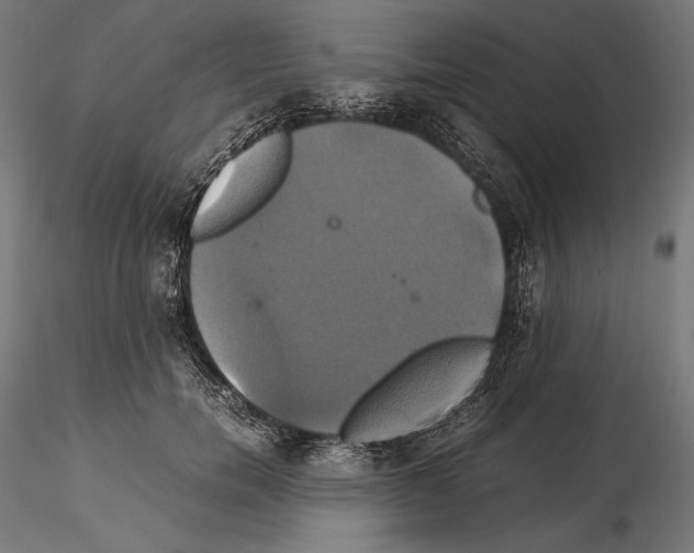 X0000114700750200912021108