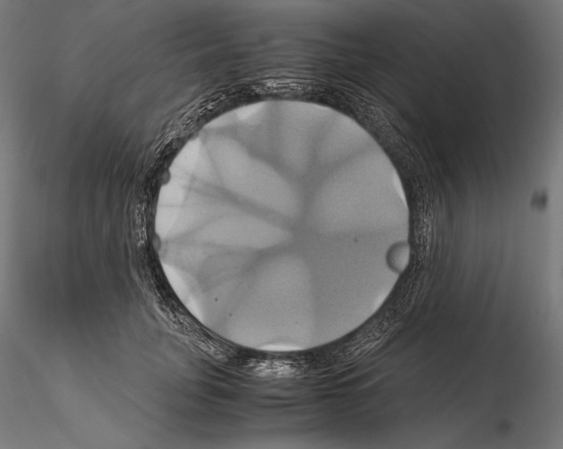 X0000114700751200912021108