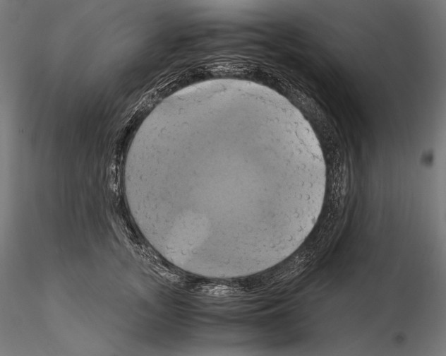 X0000114700755200912021108