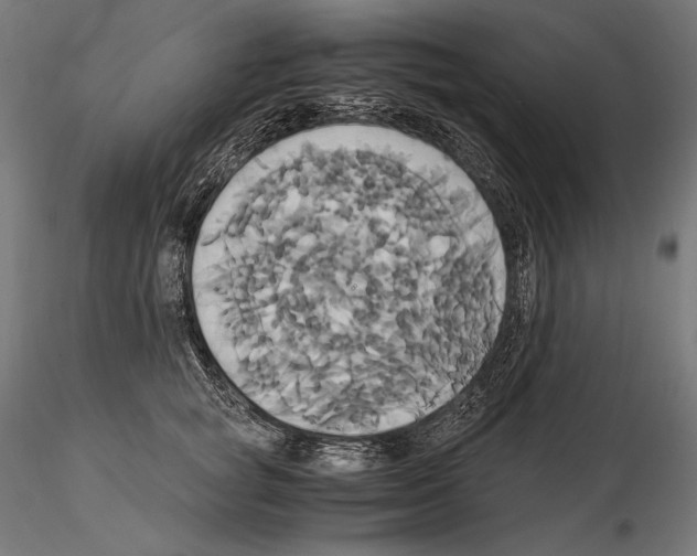 X0000114700757200912021108