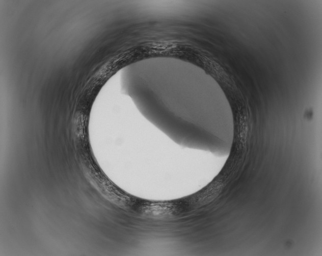 X0000114700758200912021108