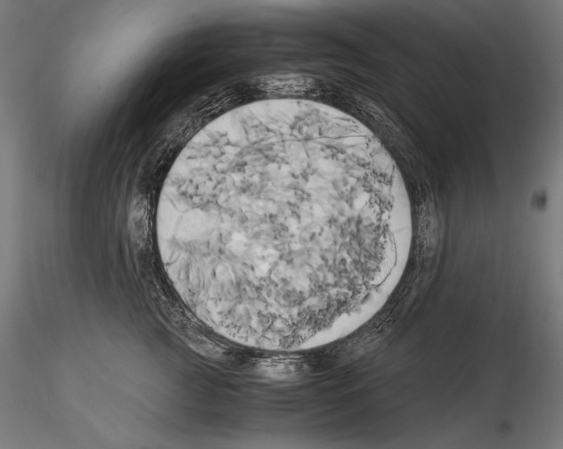 X0000114700761200912021108