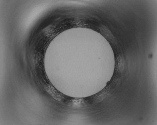 X0000114700762200912021108