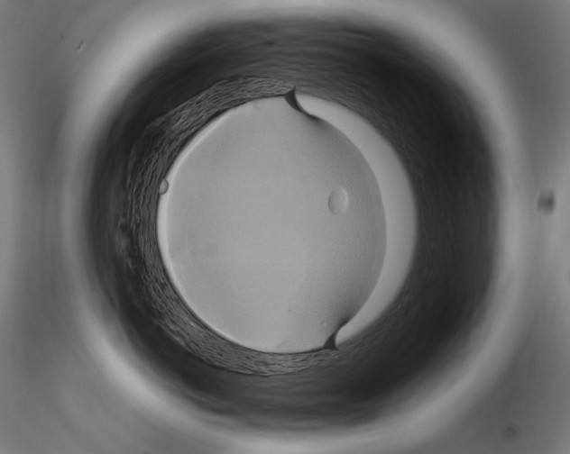 X0000114700766200912021108