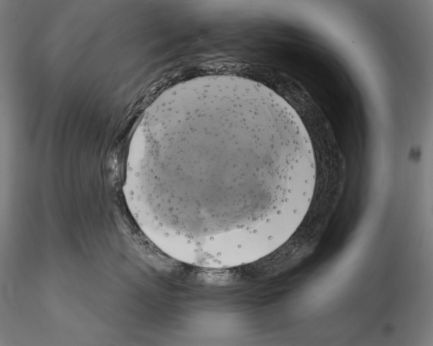 X0000114700767200912021108