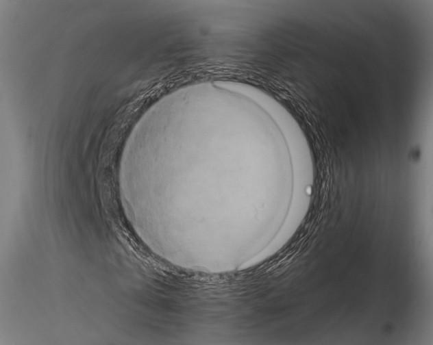 X0000114700769200912021107