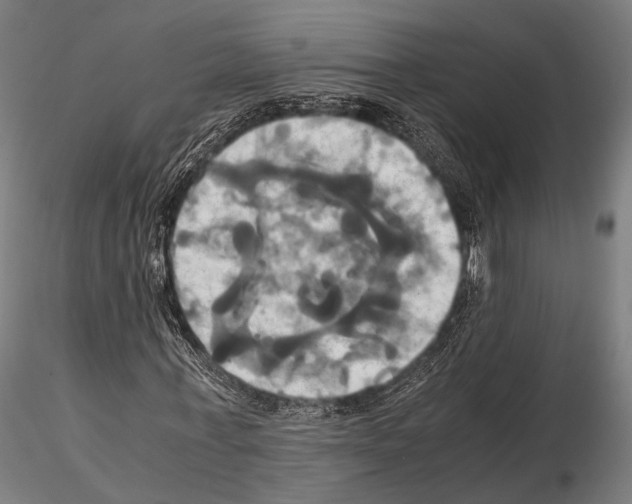 X0000114700771200912021107