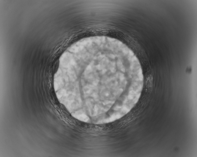 X0000114700772200912021107